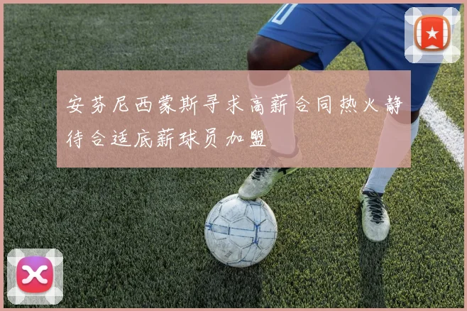 安芬尼西蒙斯寻求高薪合同热火静待合适底薪球员加盟